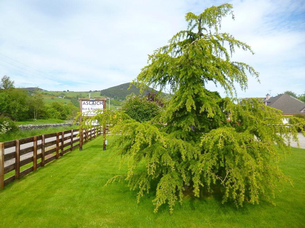 Aslaich Otel Drumnadrochit Dış mekan fotoğraf